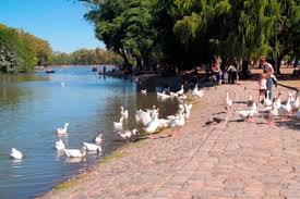 Buenos Aires´Lakes & Woods guided Tour. Contact with an amazing wildlife, flowers & trees, while locals picnic, run and skate.