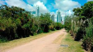 Buenos Aires´Ecological Reserve Tour. Enjoy trekking surrounded by nature, getting to the banks of the world's widest river.