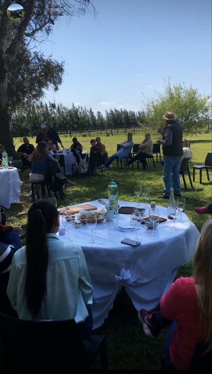 Buenos Aires´Wine Tour. Visit a vineyard in the countryside and taste its wines.