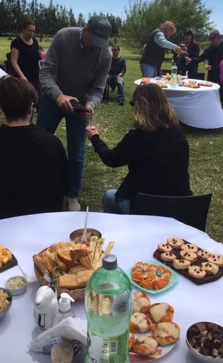 Buenos Aires´Wine Tour. Visit a vineyard in the countryside and taste its wines.