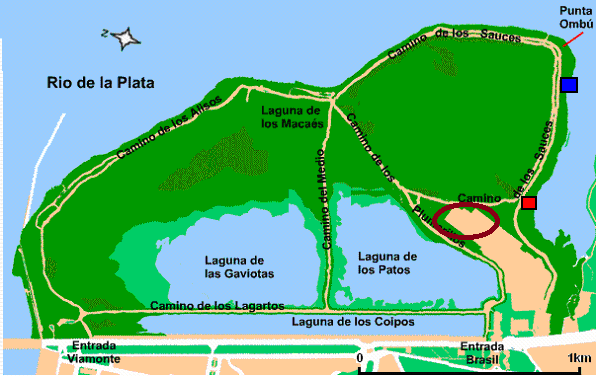 Buenos Aires´Ecological Reserve Tour. Enjoy trekking surrounded by nature, getting to the banks of the world's widest river.