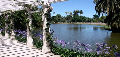 Descubre diferentes opciones de City Tours en Buenos Aires y recorre numerosos lugares y atracciones, a tu propio ritmo.