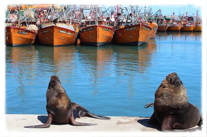 Viaje 450 km de Buenos Aires até o maior resort da Argentina, também conhecido por sua herança cultural. City Tour incluído