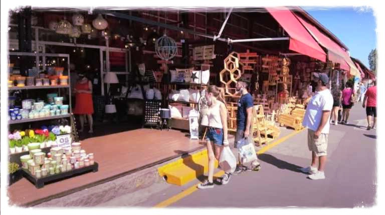 Viaje vegano al Delta Argentino del Tigre, a 30 km de Buenos Aires. Incluye navegación, paseo por la ciudad y almuerzo vegano.