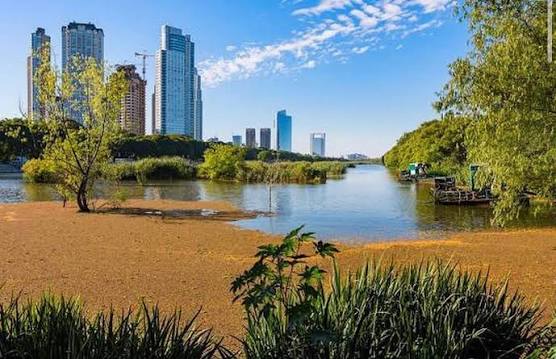 Buenos Aires´Ecological Reserve Tour. Enjoy trekking surrounded by nature, get to the banks of the world's widest river. Picnic & snacks included